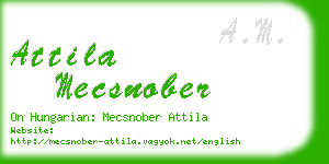 attila mecsnober business card